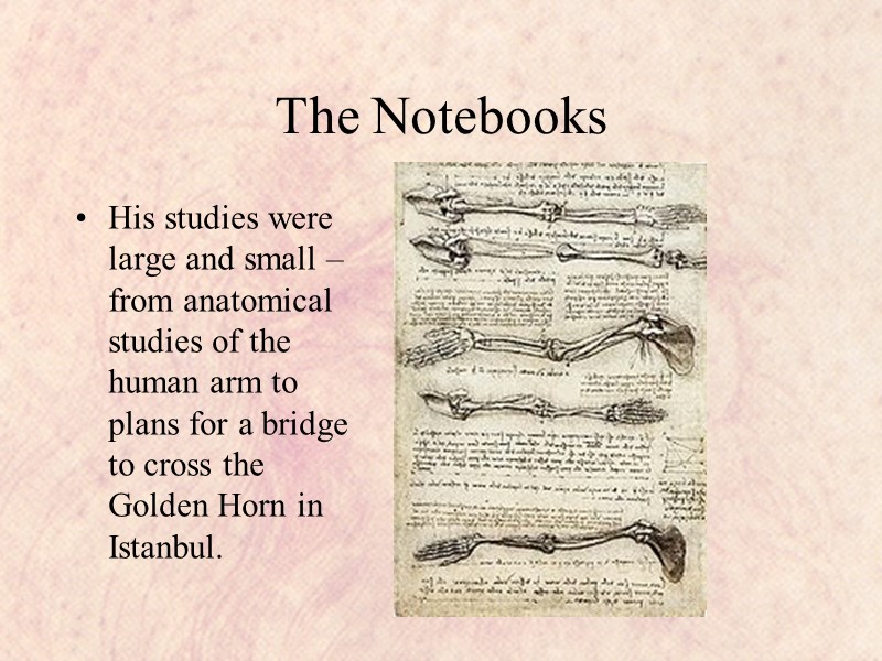 The Notebooks His studies were large and small – from anatomical studies of the